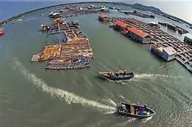 Thuê Xe TPHCM Đi Vũng Tàu