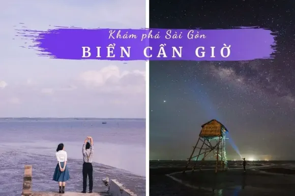 Tin tức