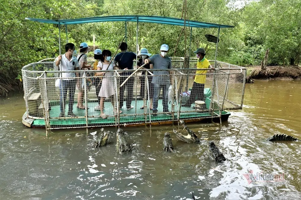 thu&ecirc; xe 7 chỗ đi Cần Giờ