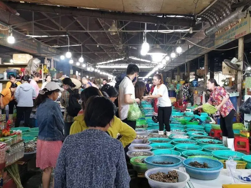 thu&ecirc; xe đi Cần Giờ