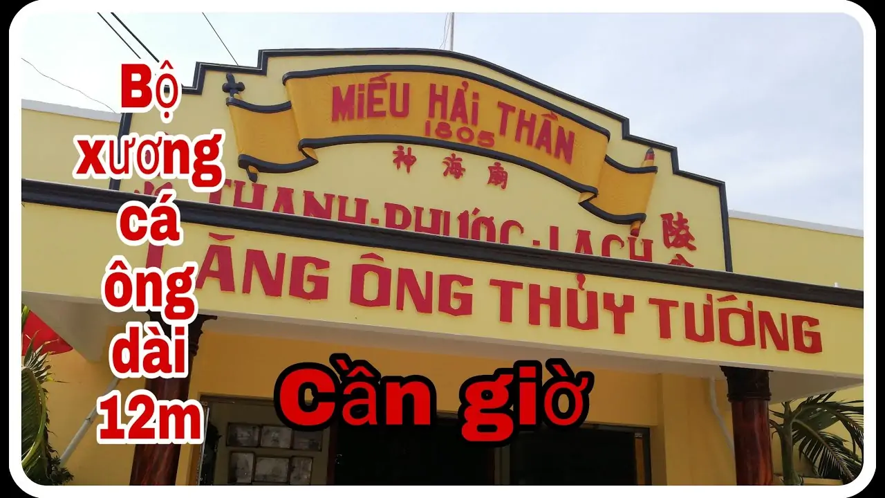 Thu&ecirc; Xe Đi Cần Giờ