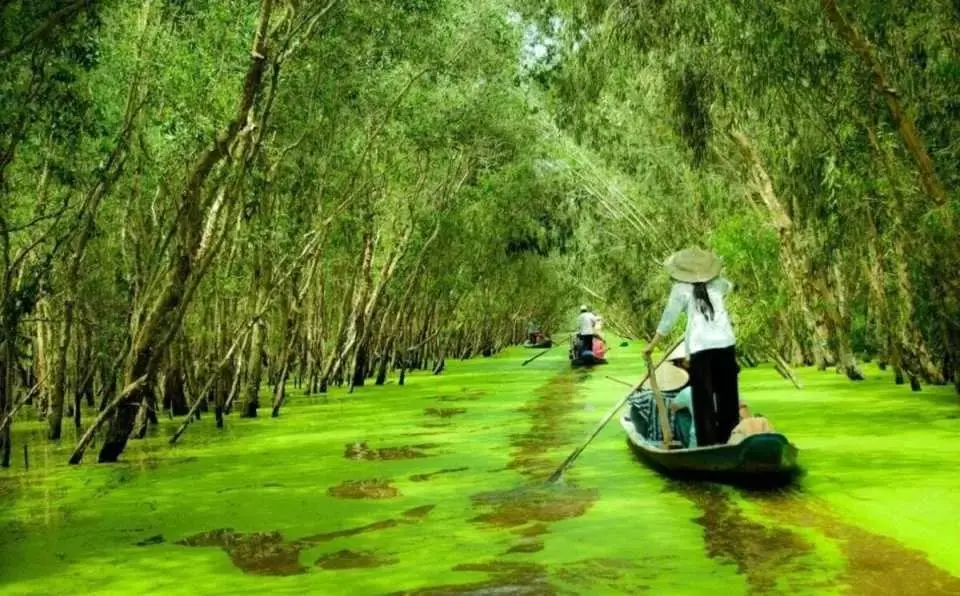 Thu&ecirc; Xe Đi G&aacute;o Giồng &ndash; Đồng Th&aacute;p