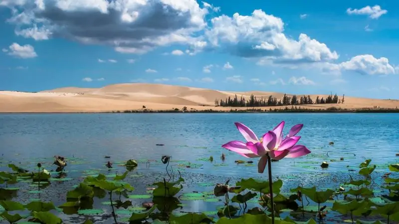 Thu&ecirc; Xe 7 Chỗ Đi Phan Thiết