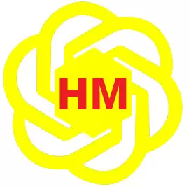 Limousine Hoa Mai