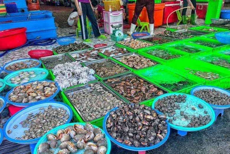 Thuê xe đi Hồ Cốc